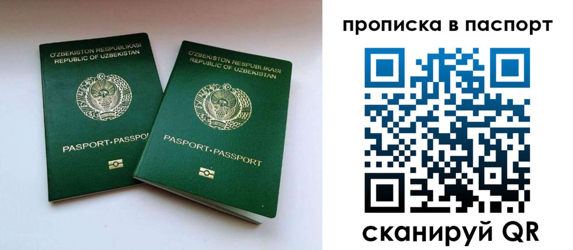 временная регистрация в Сельцо
